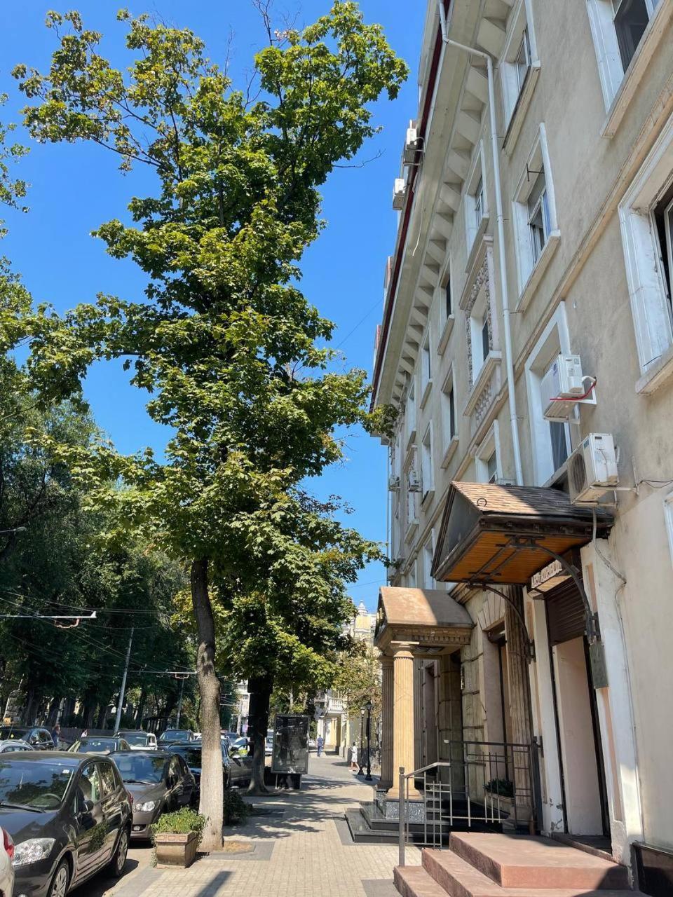 Appartement Cathedral Park Medium