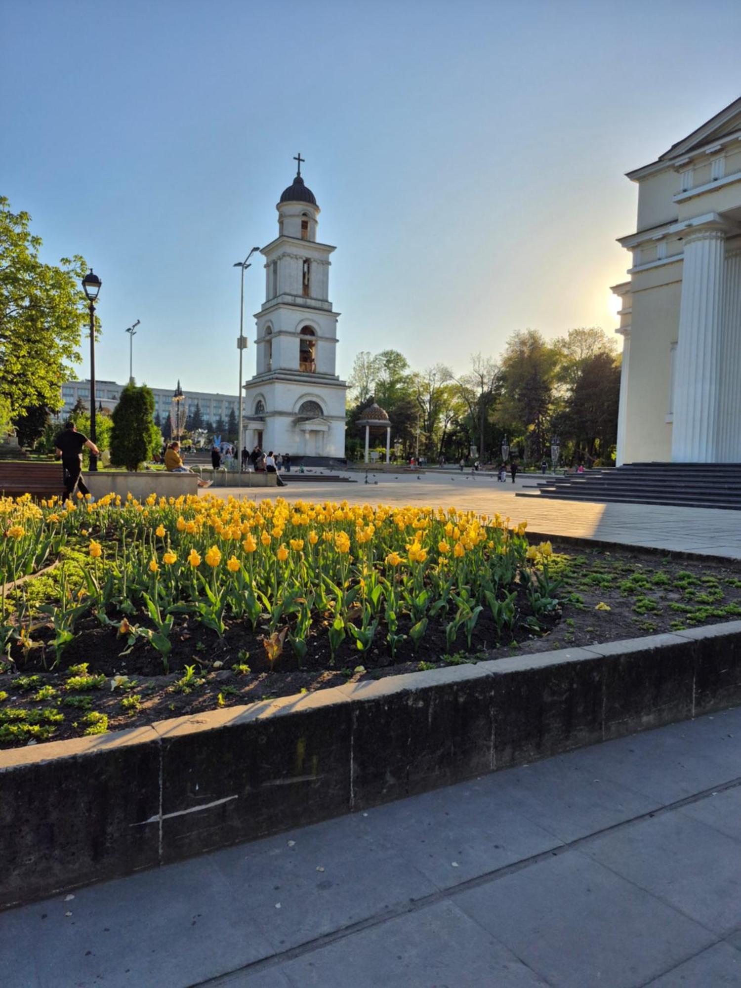 Cathedral Park Medium Кишинів